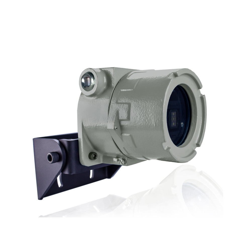 BEA Phoenix EX Low-Mount Industrial Motion Sensor with 100ft Harness ...