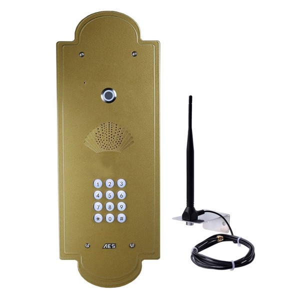 AES Cellcom PRIME7 Vintage Flush Mount with Keypad (Gold)