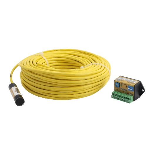 Diablo Magnetometer Vehicle Detector with Prescence Probe and 100 ft. Lead In - DSP-14-100
