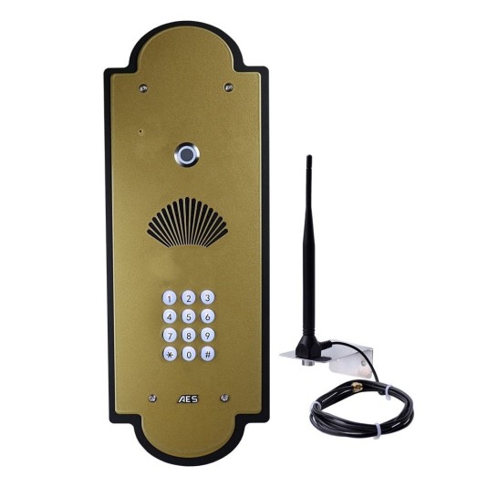 AES Cellcom PRIME7 Vintage Flush Mount with Keypad (Gold/Black) 