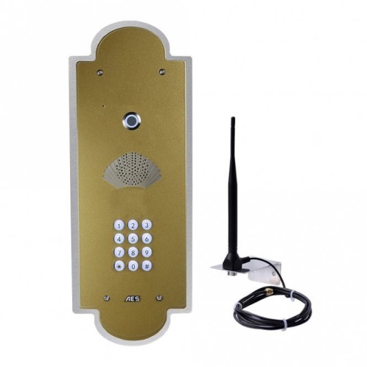 AES Cellcom PRIME7 Vintage Flush Mount with Keypad (Stainless Steel/Gold)