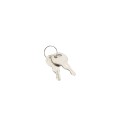 Two Button Exterior Surface Mount with Lockout Control (NEMA 4 - 6 amp @ 125-250V AC)