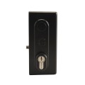 AES Gatemaster Superlock Keylatch for 40-60mm Gates - BK4060 (Default)