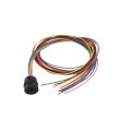EMX 11-Pin Loop Detector Wire Harness (3' Wire) - HAR-11