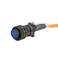 Reno A&E LMH8R 10 Pin Harness