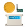 AES E-Loop Commercial Exit Mode with E-TRANS-Plus, I-Gate-Plus and Magnet
